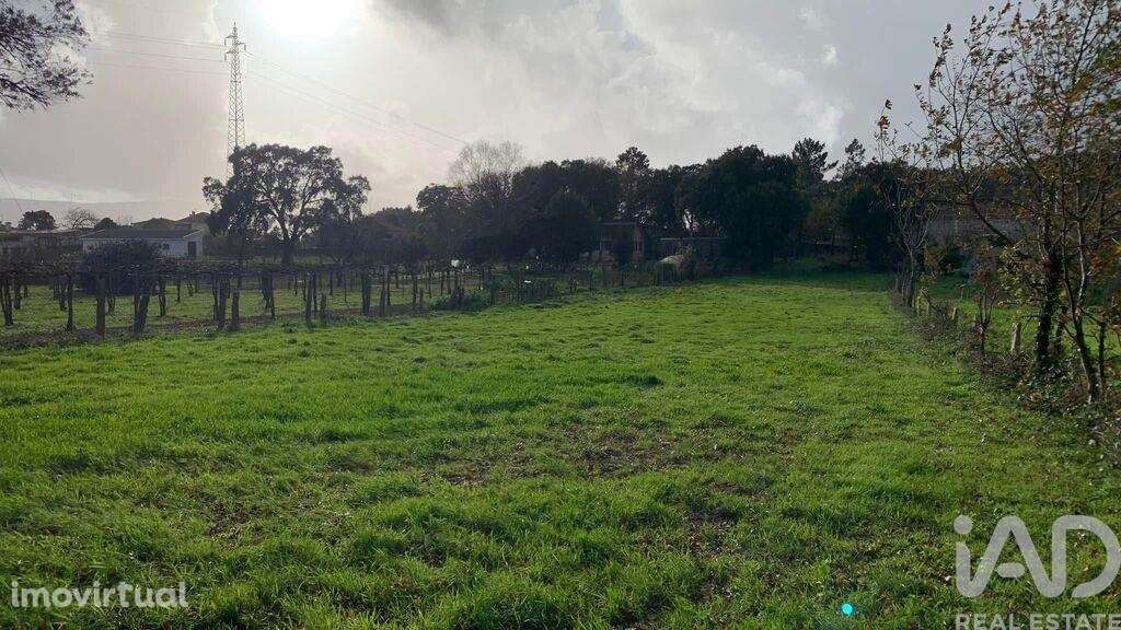 Terreno para construção em Mazedo e Cortes de 2600,00 m2 - Grande imagem: 3/9