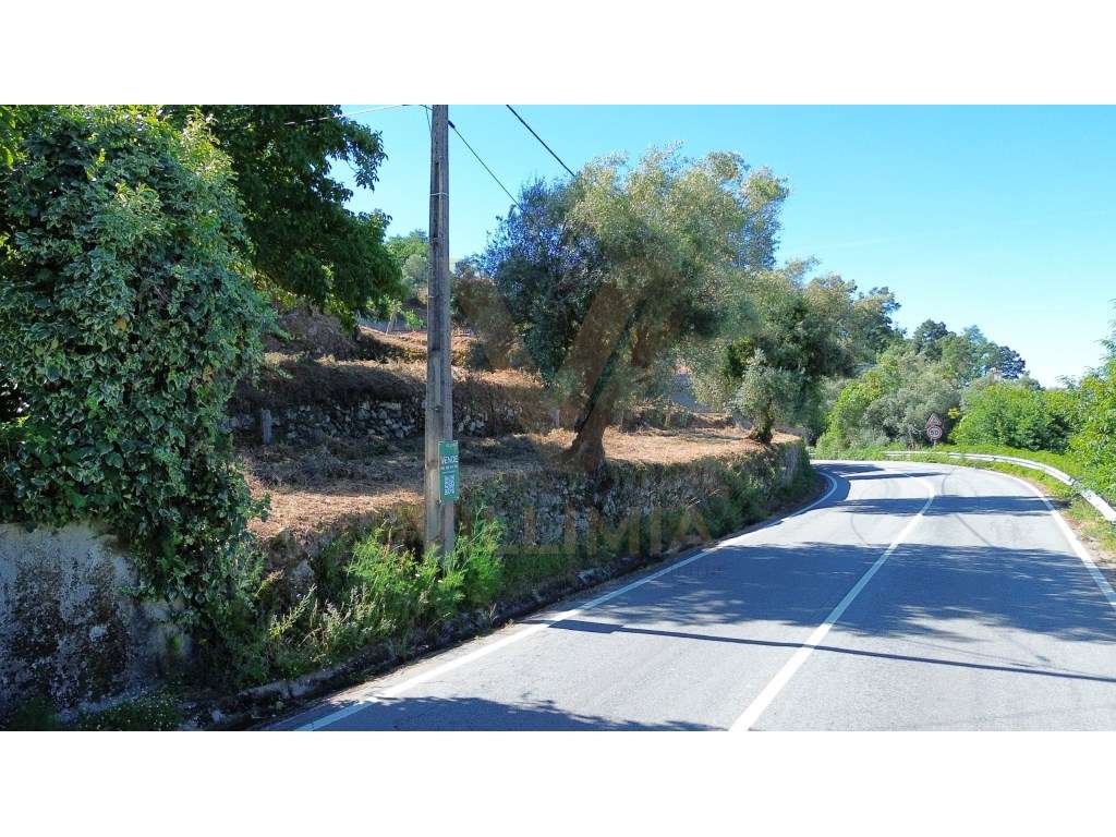Terreno para Construção com 800 m² | Bárrio - Ponte de Lima - Grande imagem: 3/13