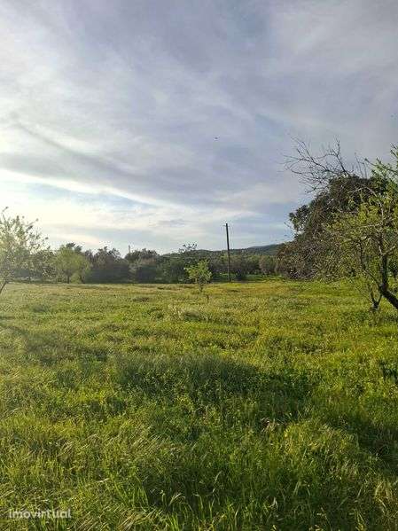 Terreno com casa velha com 34.320 m2 - Grande imagem: 2/4
