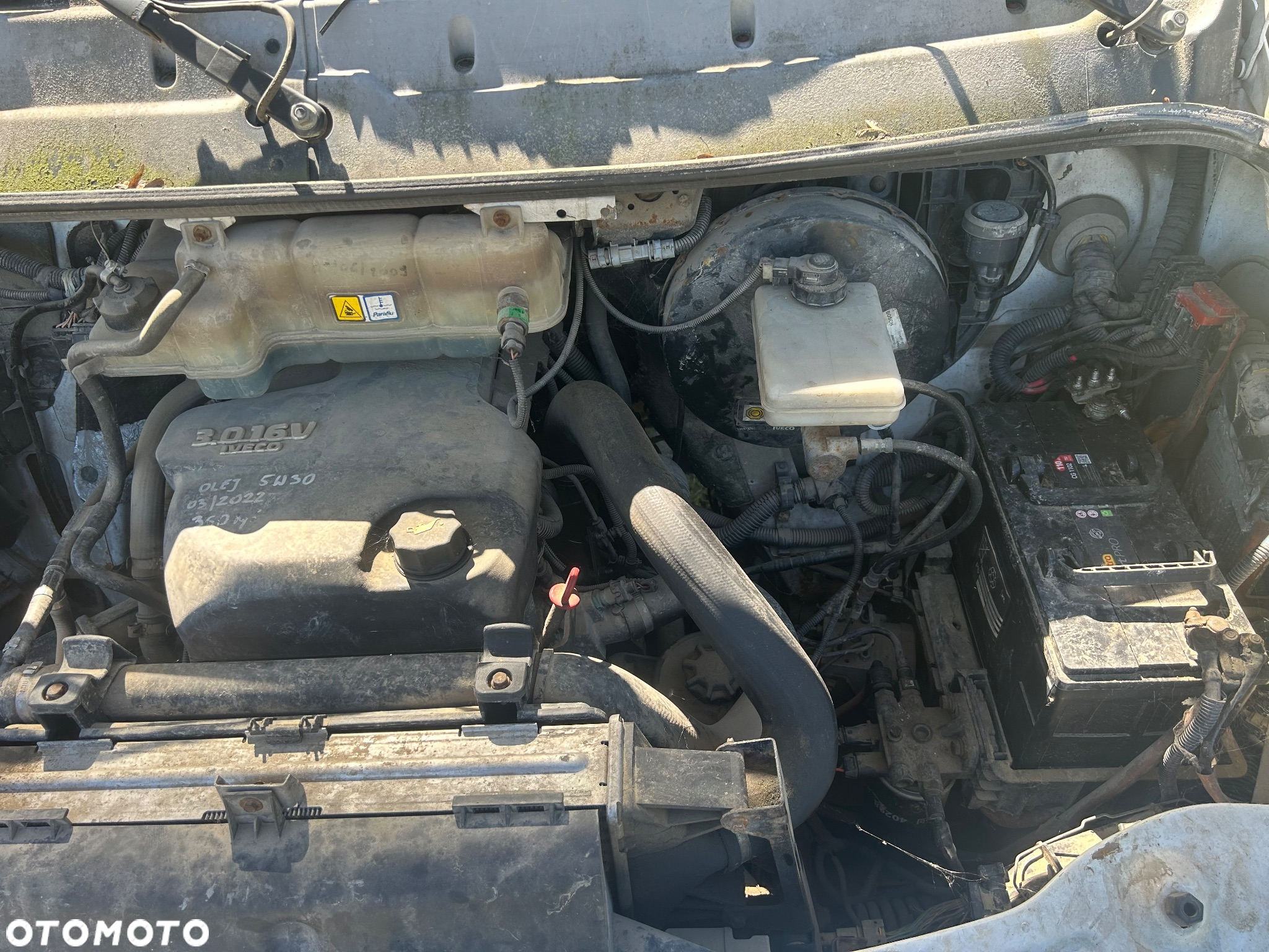 Iveco Daily - 14