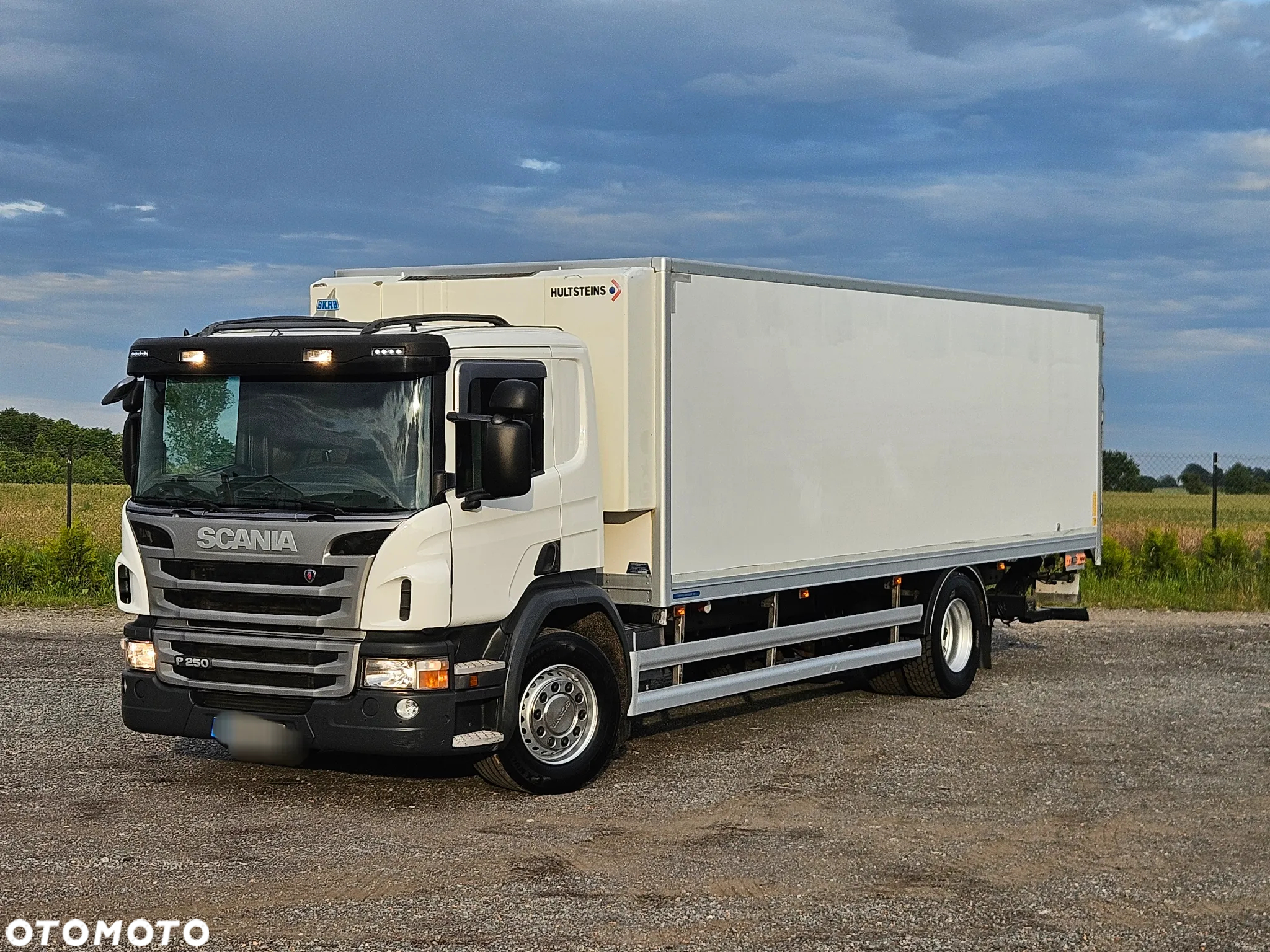Scania P 250 - 12