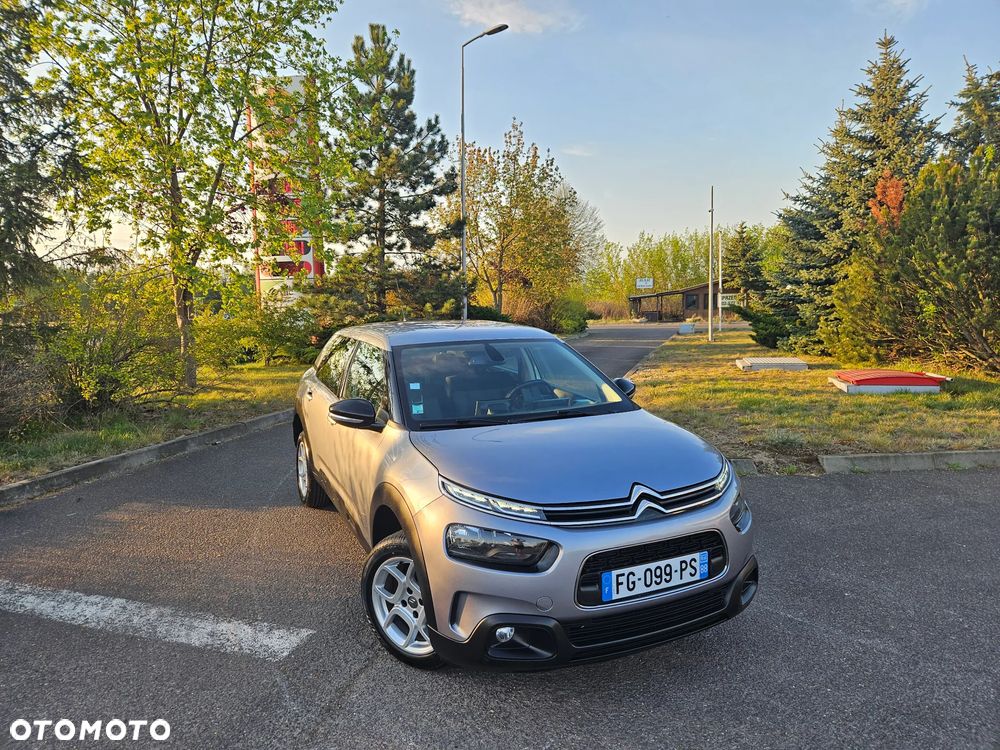 Citroën C4 Cactus 1.5 BlueHDi Shine Pack - 9