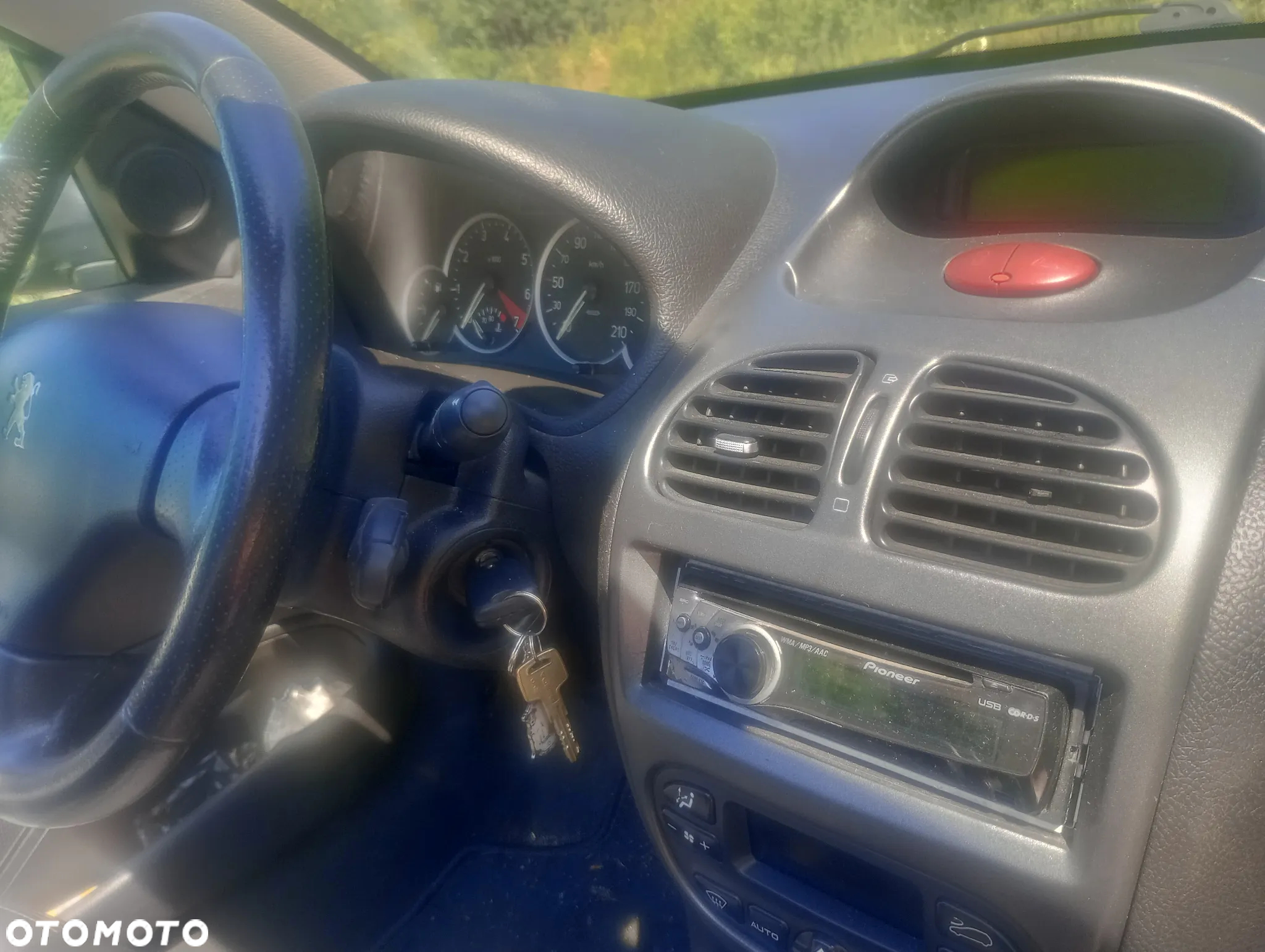 Peugeot 206 - 9