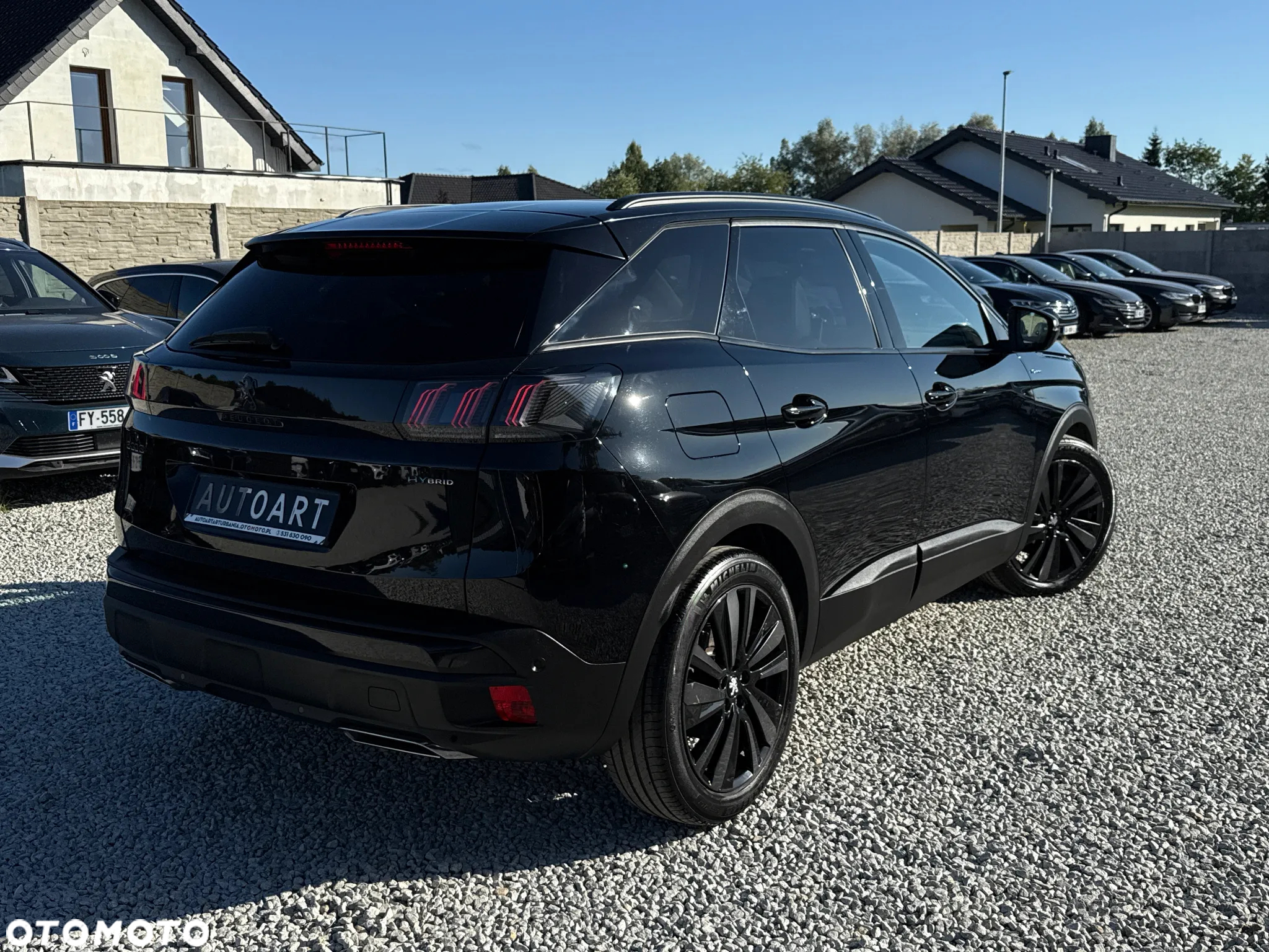 Peugeot 3008 - 17