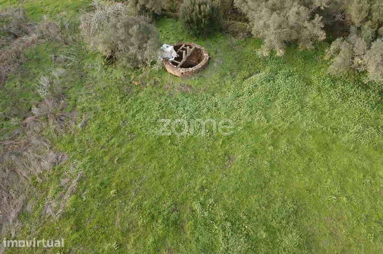 Terreno em Messines, com 9.320 m² e poço de água. - Grande imagem: 3/15