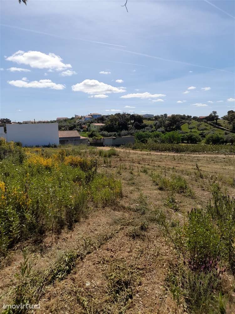 Terreno Rústico  Venda em Benquerenças,Castelo Branco - Grande imagem: 4/8