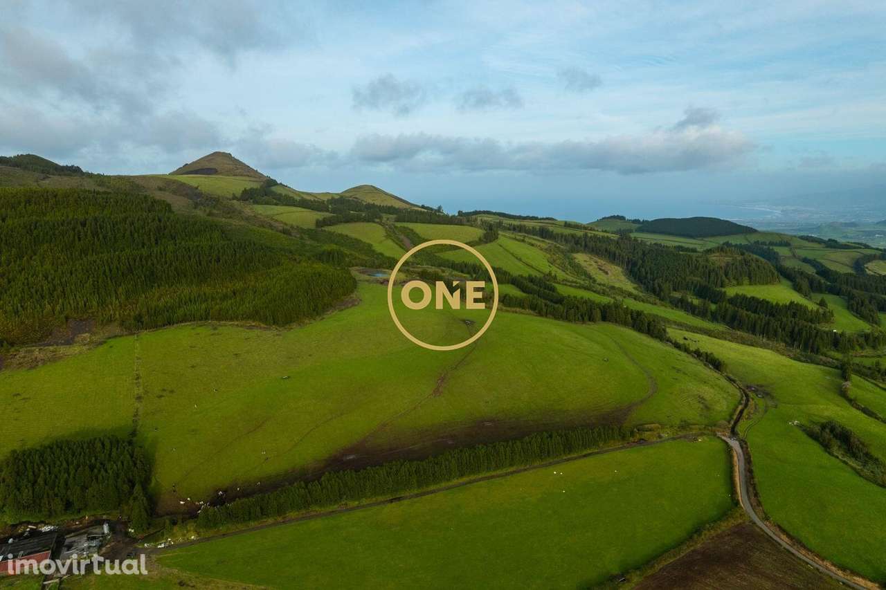 Terreno Premium na Relva - Grande imagem: 5/8