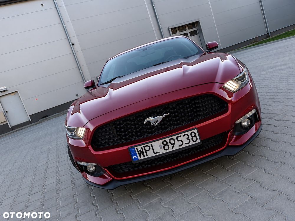Ford Mustang - 24