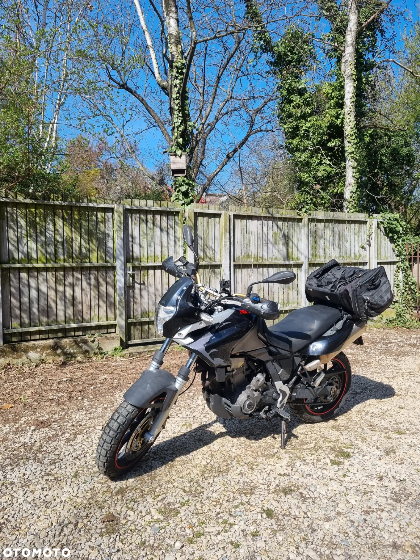 Aprilia Pegaso - 5