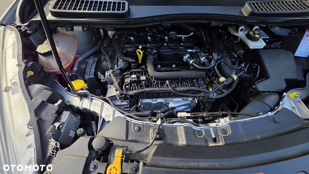 Ford Kuga 1.5 EcoBoost FWD Titanium ASS - 19