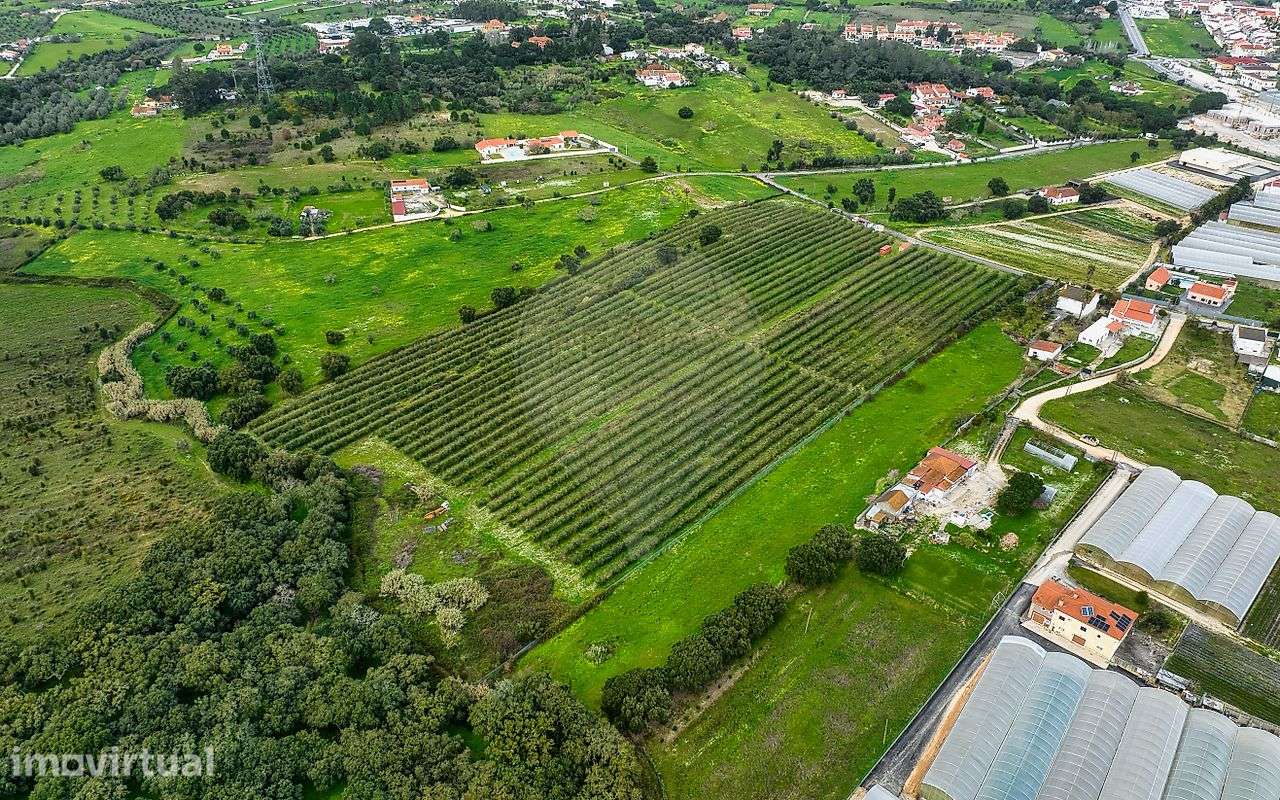Terreno  para venda - Grande imagem: 5/31