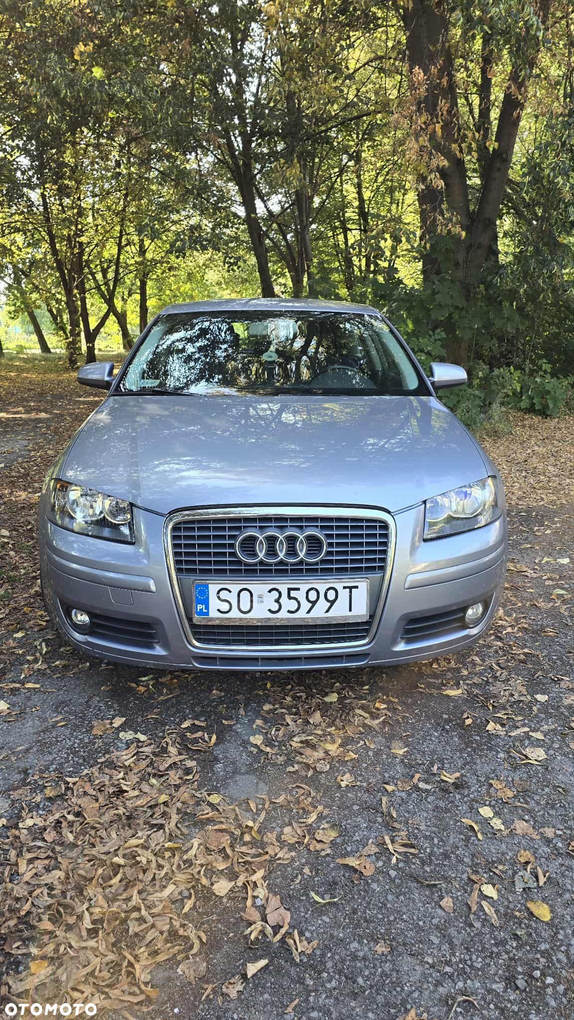 Audi A3 1.6 Attraction - 1