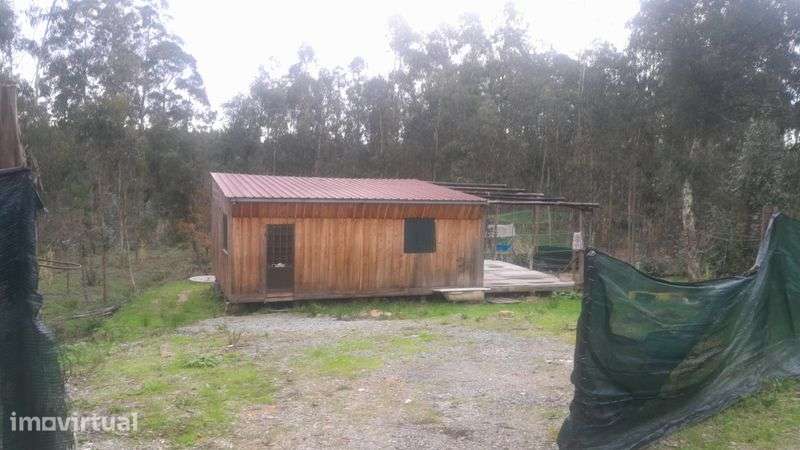 Vendo uma  terreno com uma casa com rodas - Grande imagem: 3/12