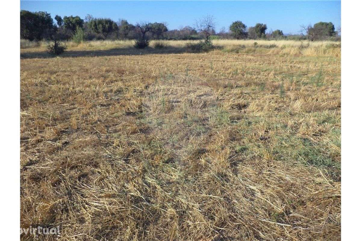 Quinta T0 para venda - Grande imagem: 3/12