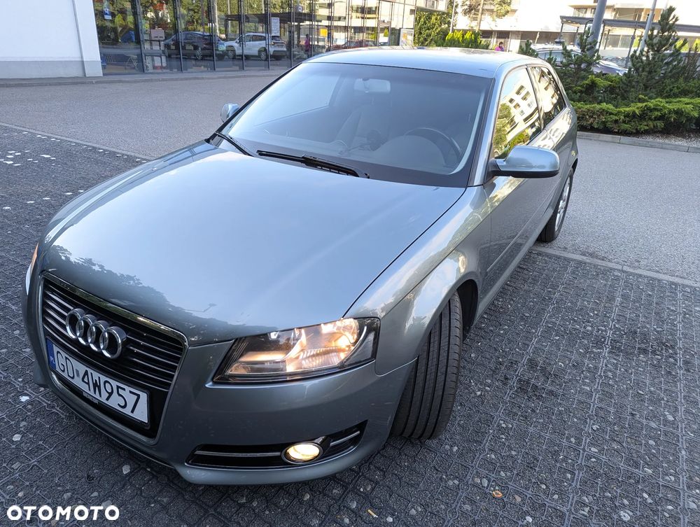 Audi A3 3-drzwiowe 2.0 TDI DPF Attraction - 11