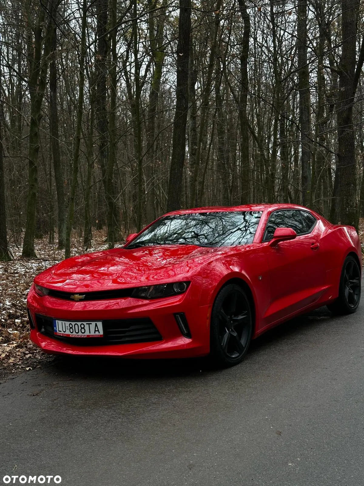Chevrolet Camaro - 3
