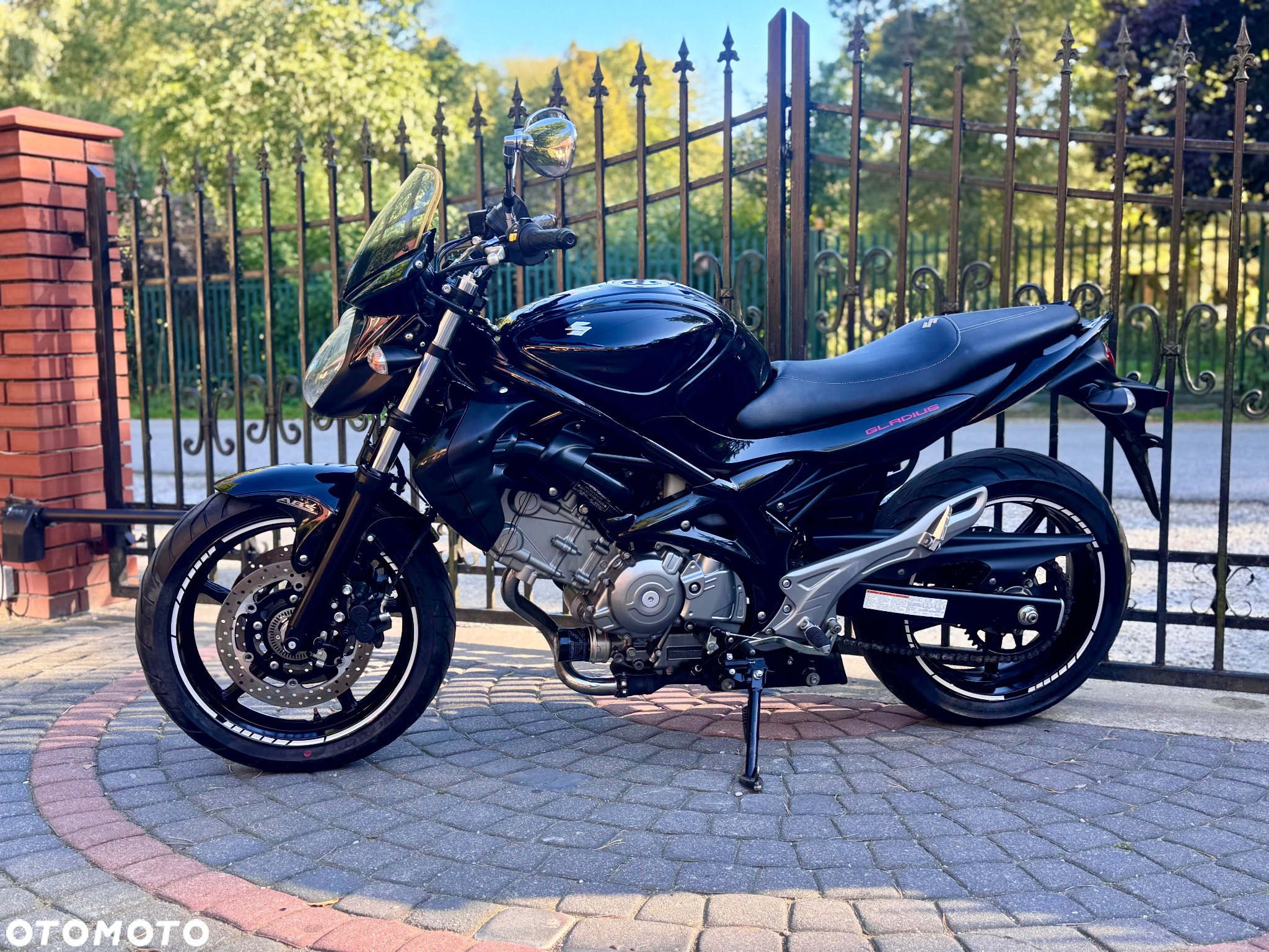 Suzuki Gladius - 6