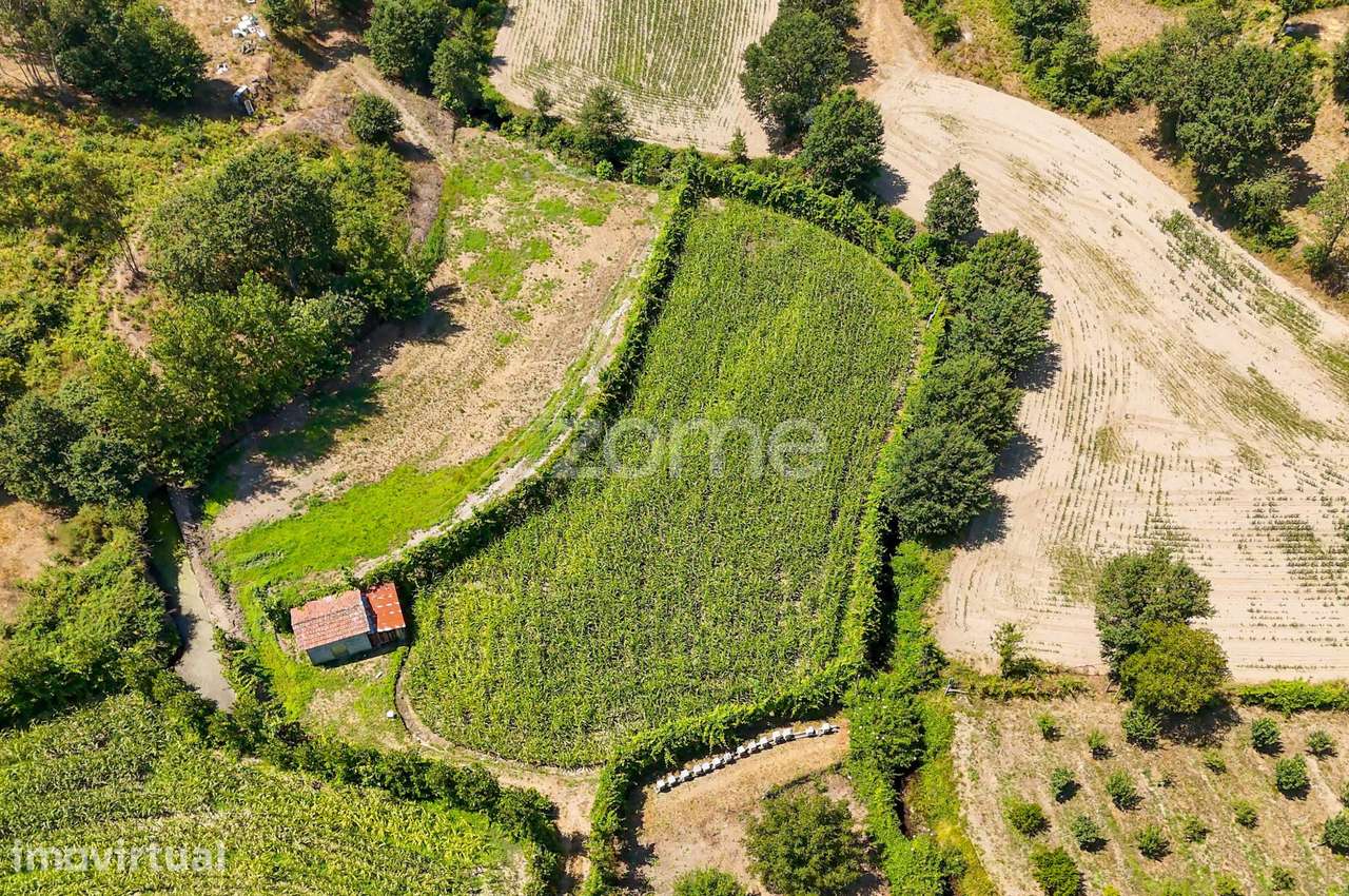 Terreno, 2 386 m², São Gens - Grande imagem: 2/30
