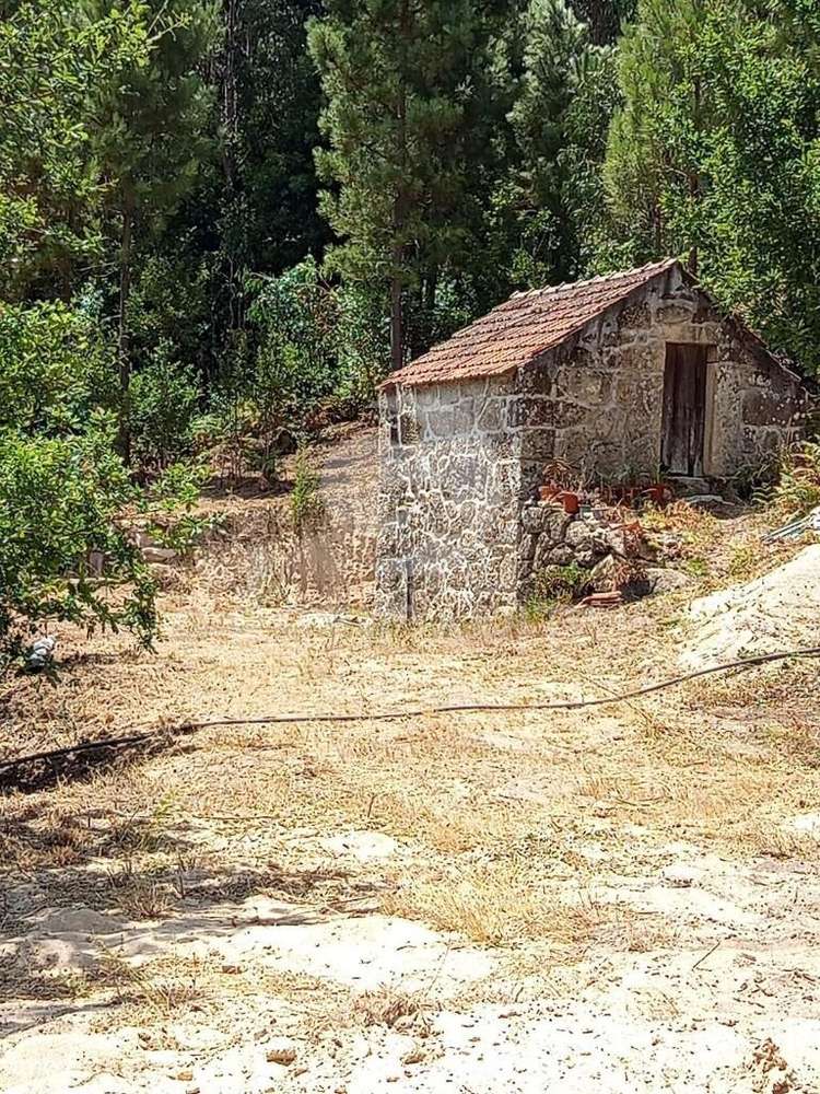 Quintinha c/ moradia em pedra p/ restauro em Sande, Marco de Canaveses - Grande imagem: 4/14