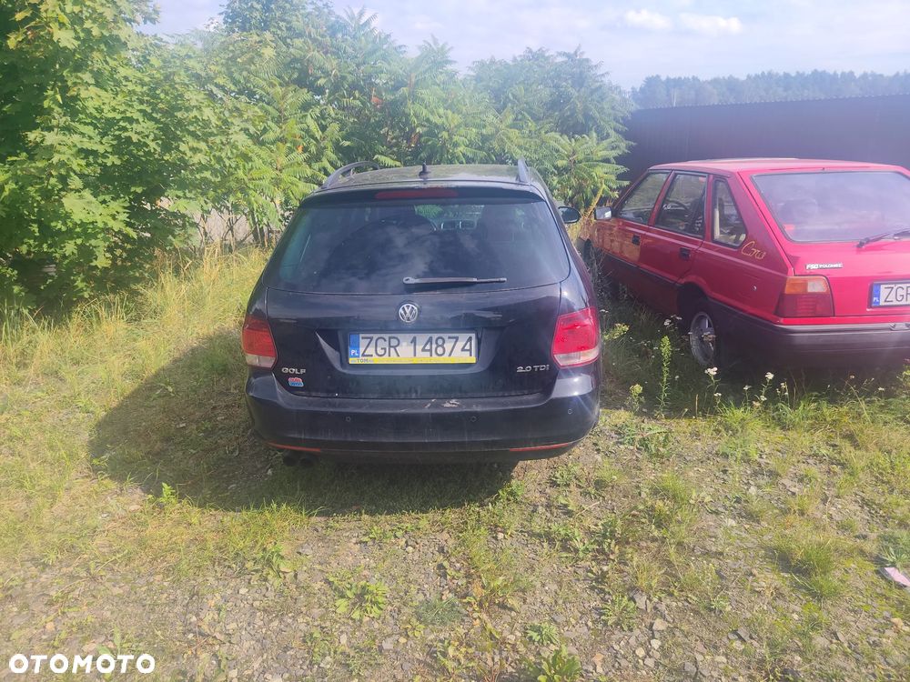 Volkswagen Golf - 2