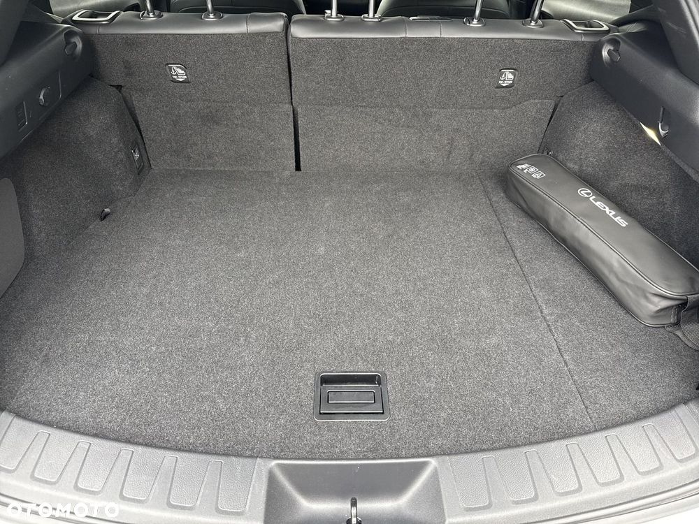 Lexus UX 250h GPF F Sport Design 2WD - 13