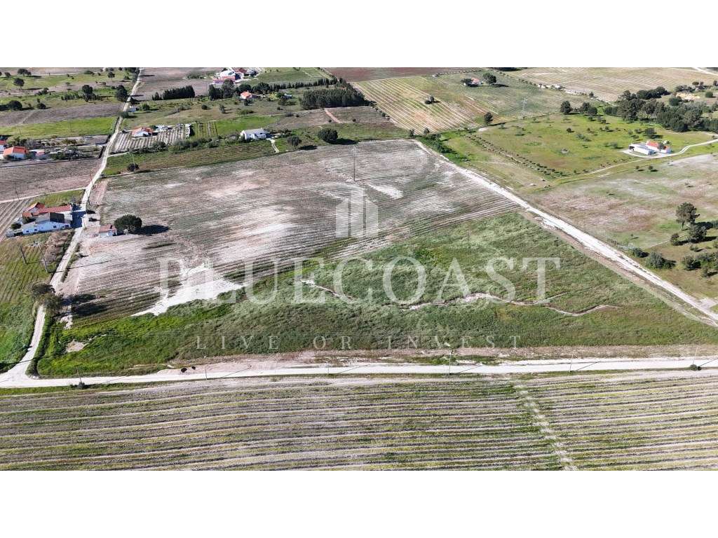 Oportunidade de Investimento - Terreno no Poceirão com 6 hectares - Grande imagem: 4/10