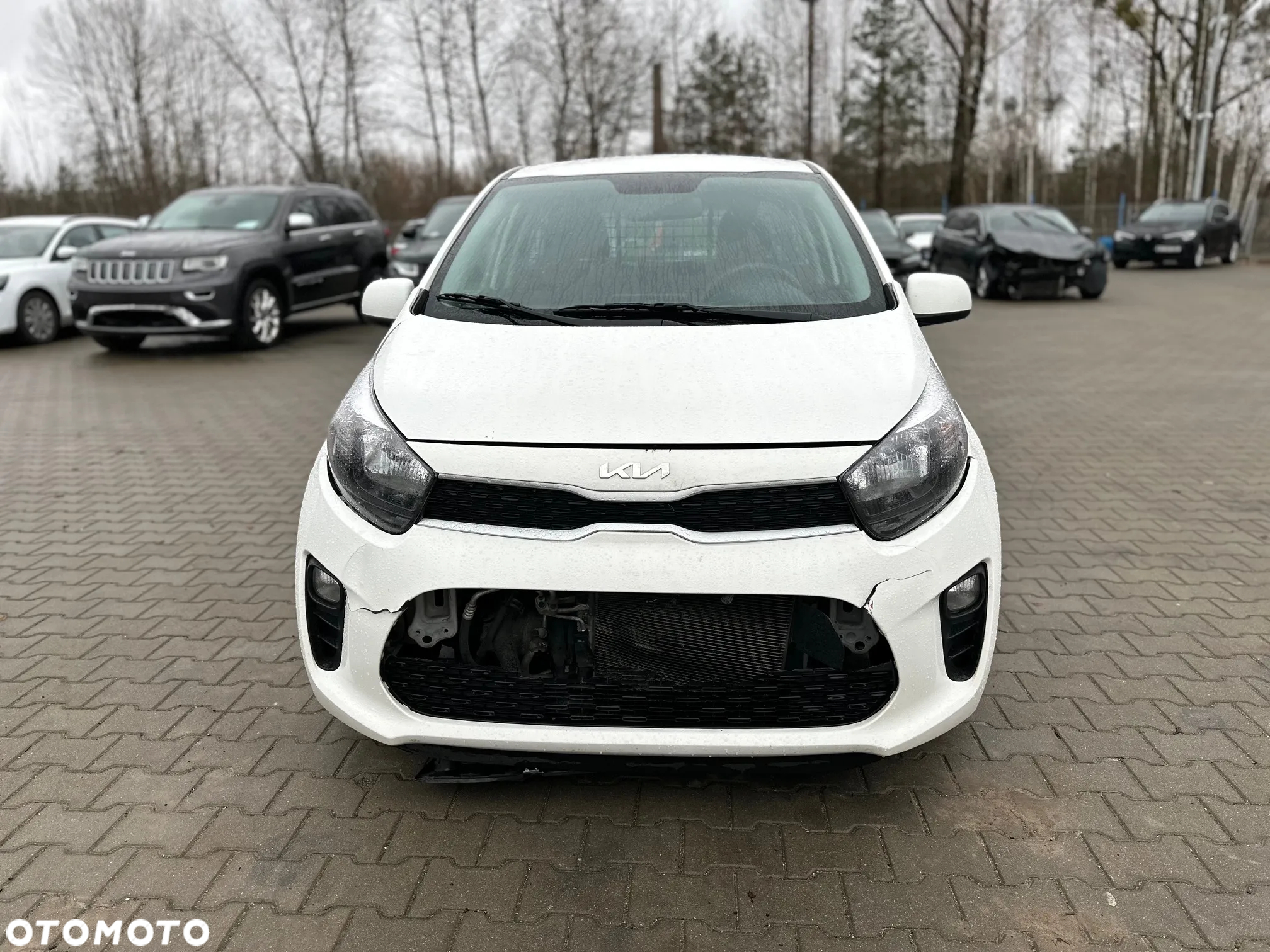 Kia Picanto - 2