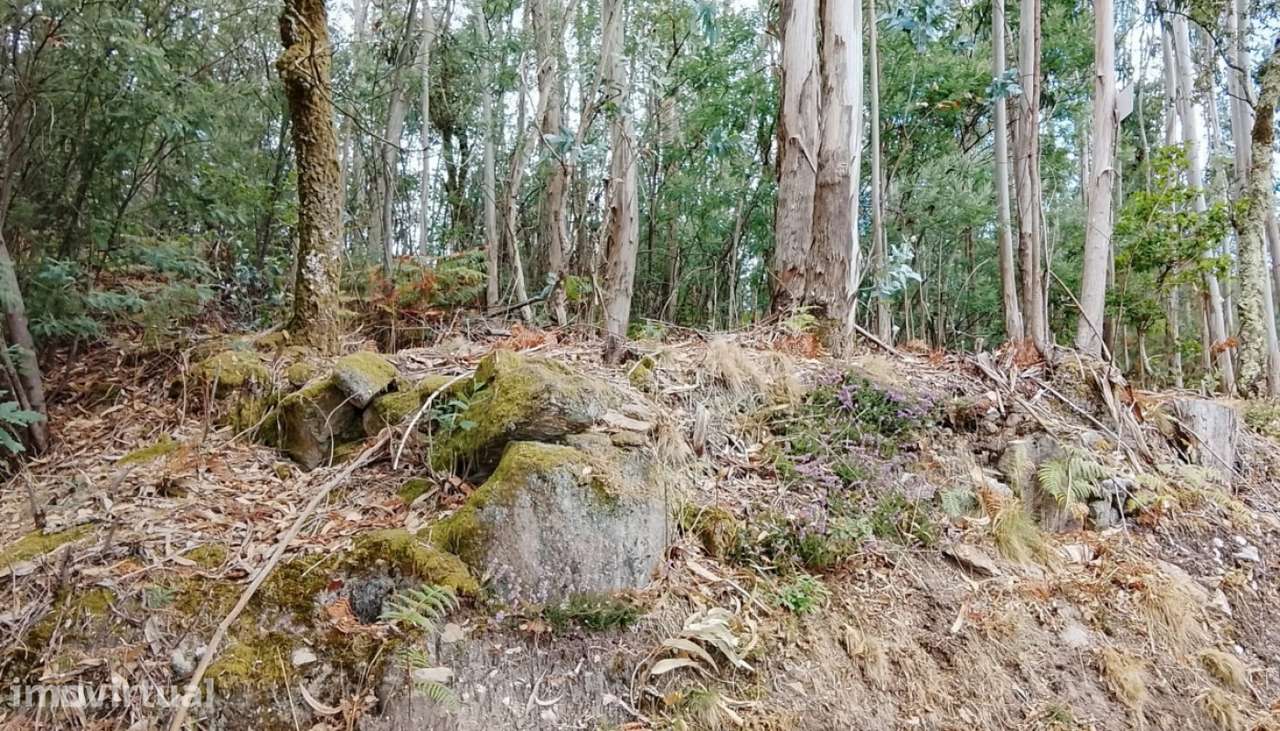 Terreno para venda, Candemil, Vila Nova de Cerveira - Grande imagem: 5/7