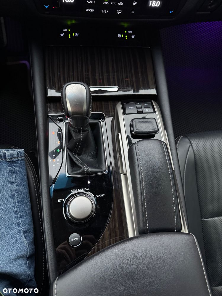 Lexus GS 200t / 300 Elegance - 23