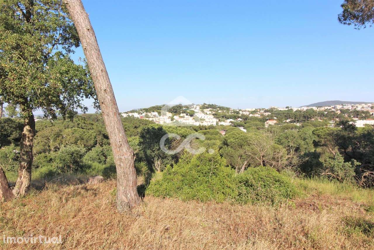 Terreno Urbano de 704m2 em Sesimbra - Grande imagem: 3/10