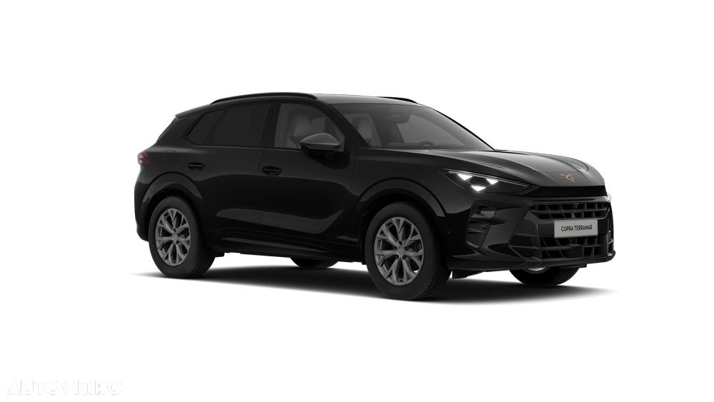 Cupra Terramar - 13
