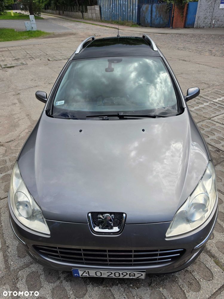 Peugeot 407 - 8