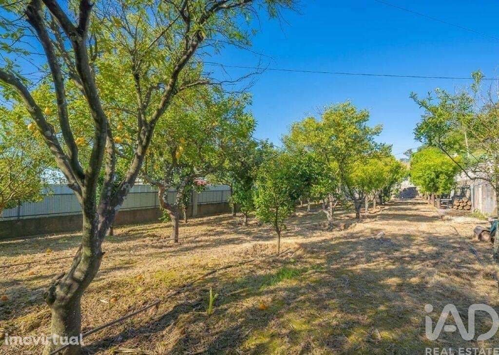 Moradia térrea T3 em Palmela - Grande imagem: 3/38