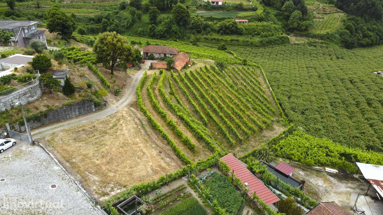 Quinta Eira Vedra Lixa - Grande imagem: 3/51