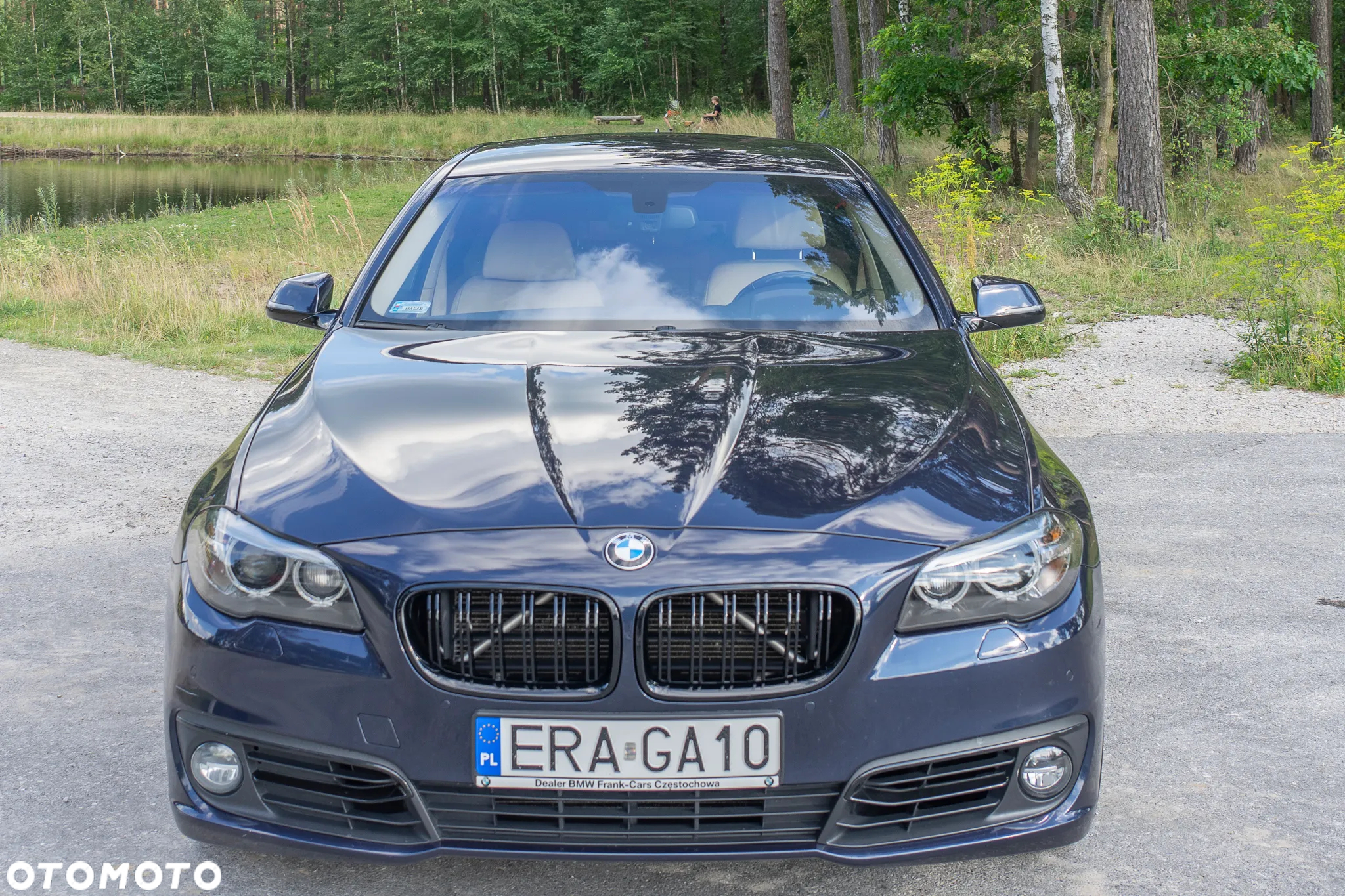 BMW Seria 5 525d xDrive Luxury Line - 3