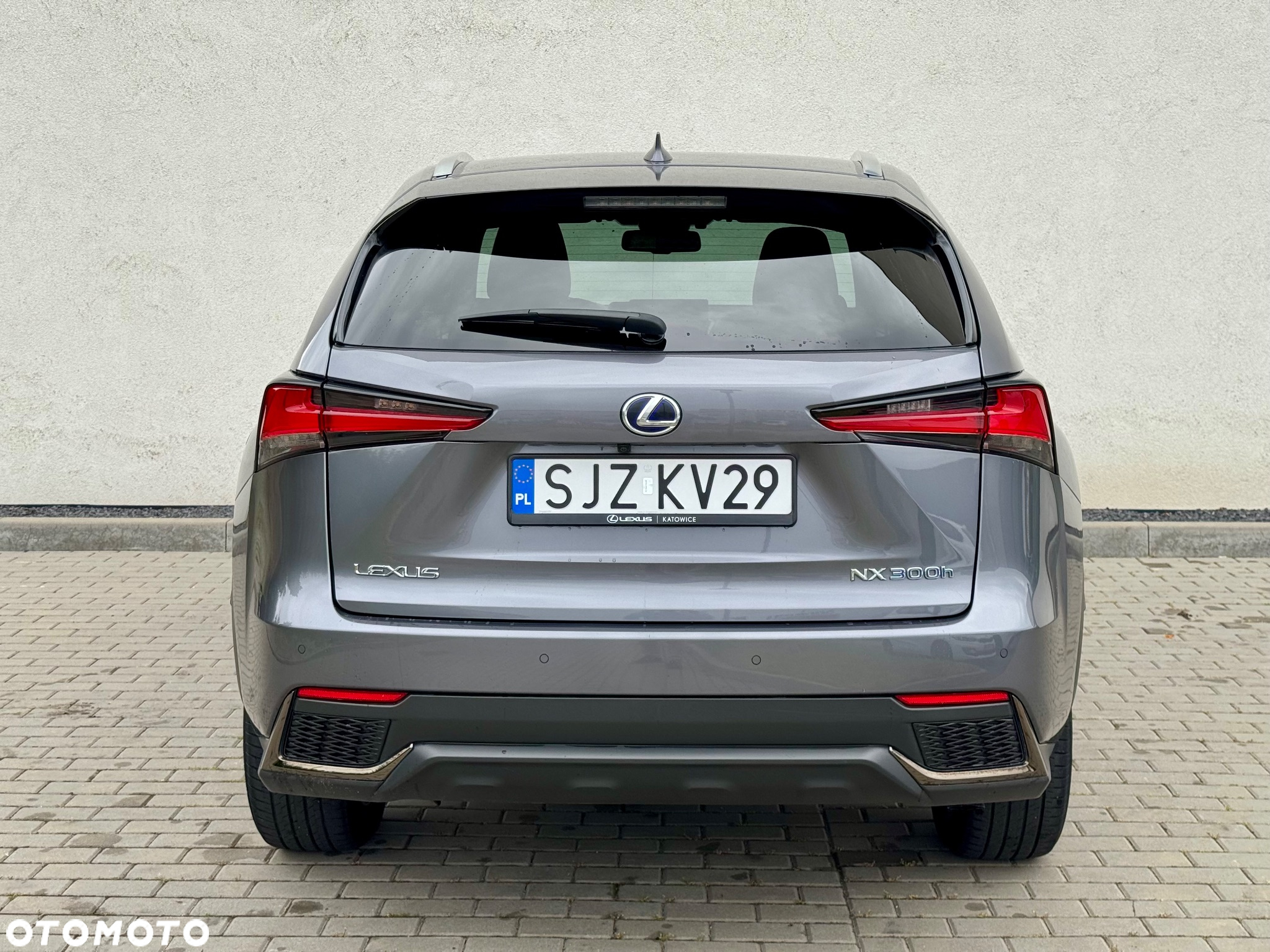 Lexus NX 300h F Sport Edition AWD - 12