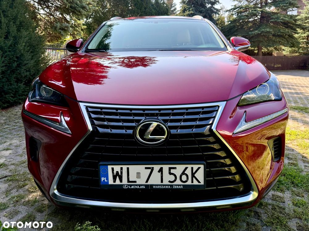 Lexus NX 300 Comfort AWD - 5