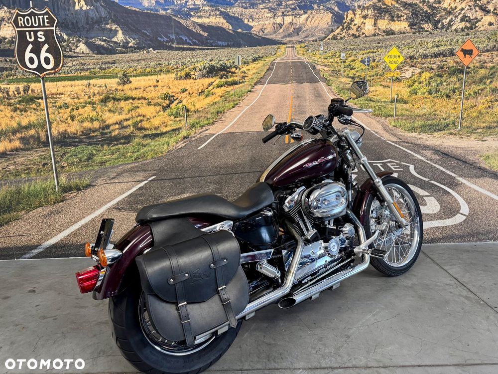 Harley-Davidson Sportster Custom 1200C - 3