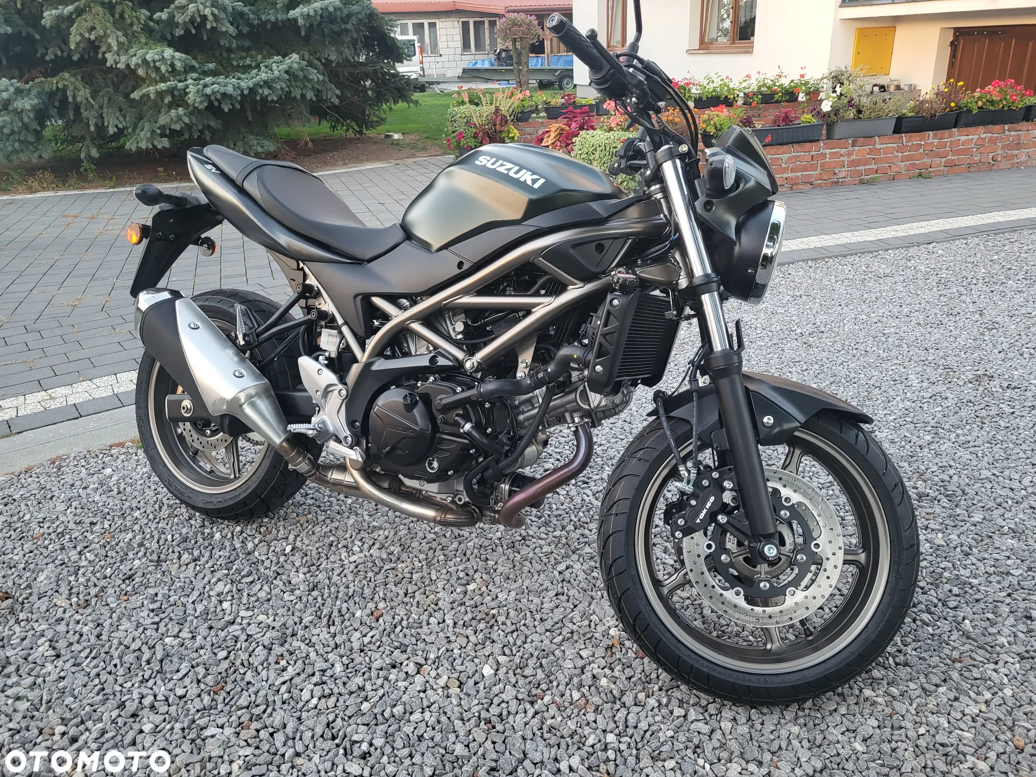 Suzuki SV - 2