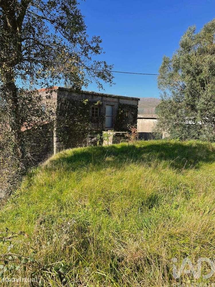 Terreno Agrícola em Montaria - Grande imagem: 4/11