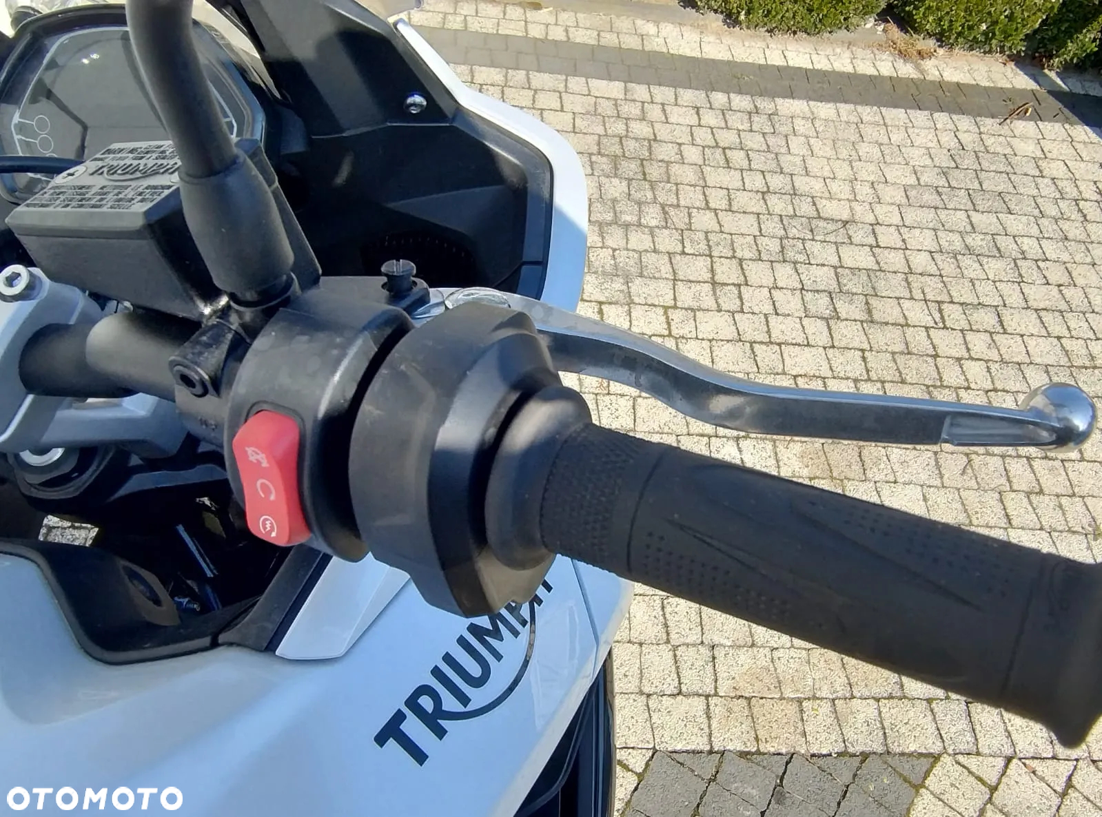Triumph Tiger - 16