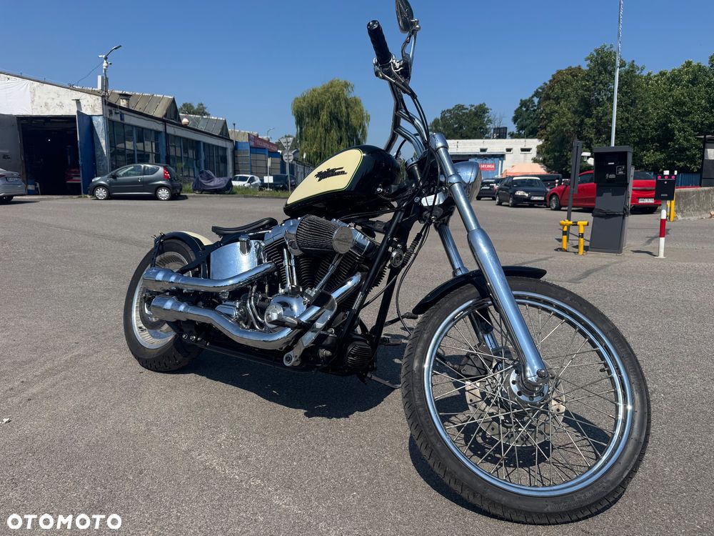 Harley-Davidson Softail - 4