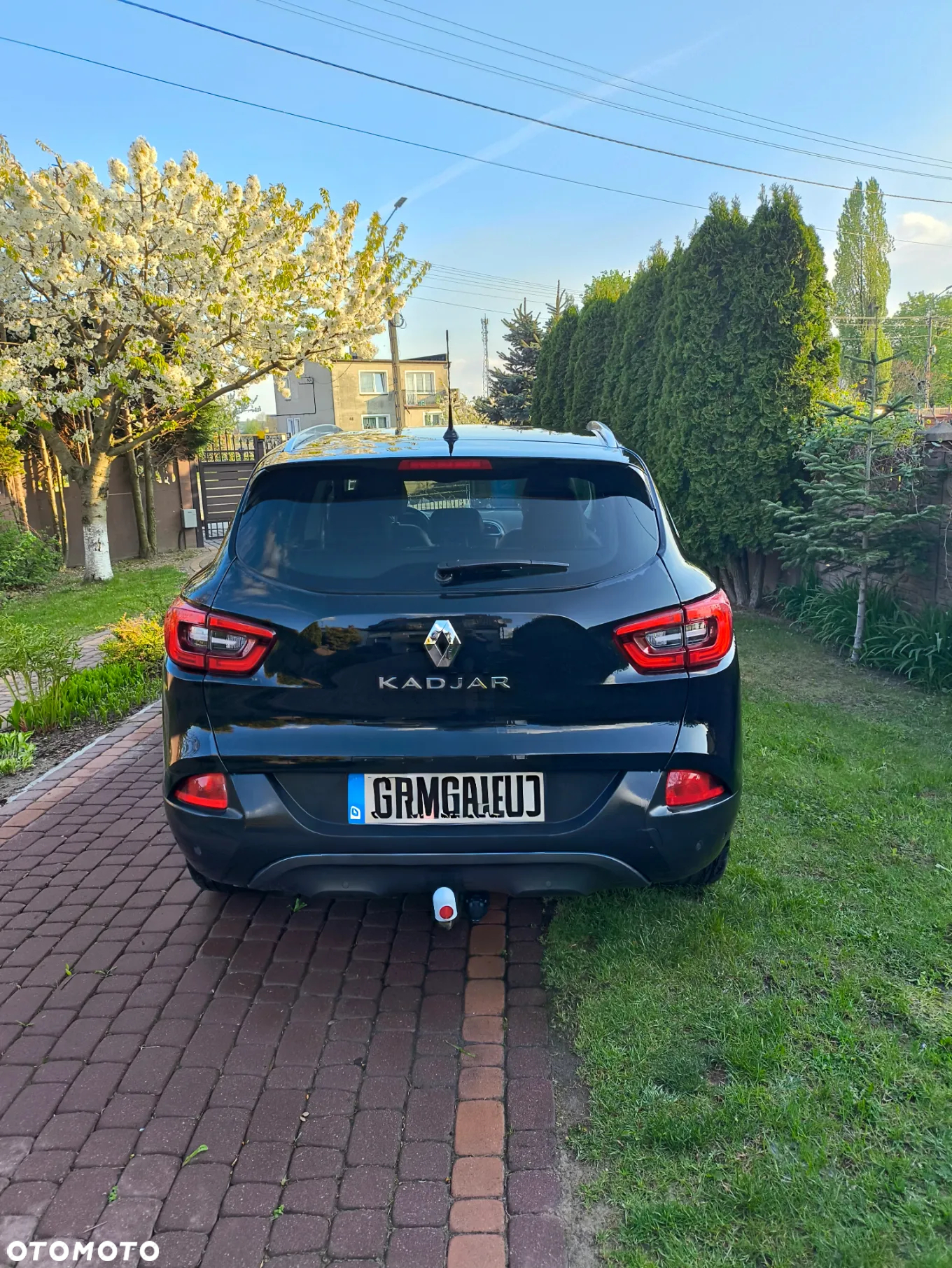 Renault Kadjar 1.5 dCi Energy Limited - 2