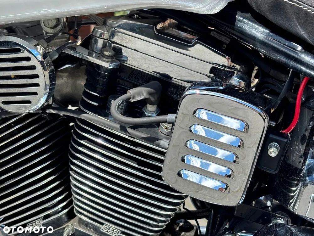 Indian Chief - 20