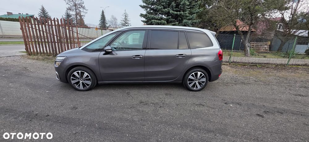 Citroën C4 SpaceTourer Grand BlueHDi 130 Stop&Start LIVE PACK - 16