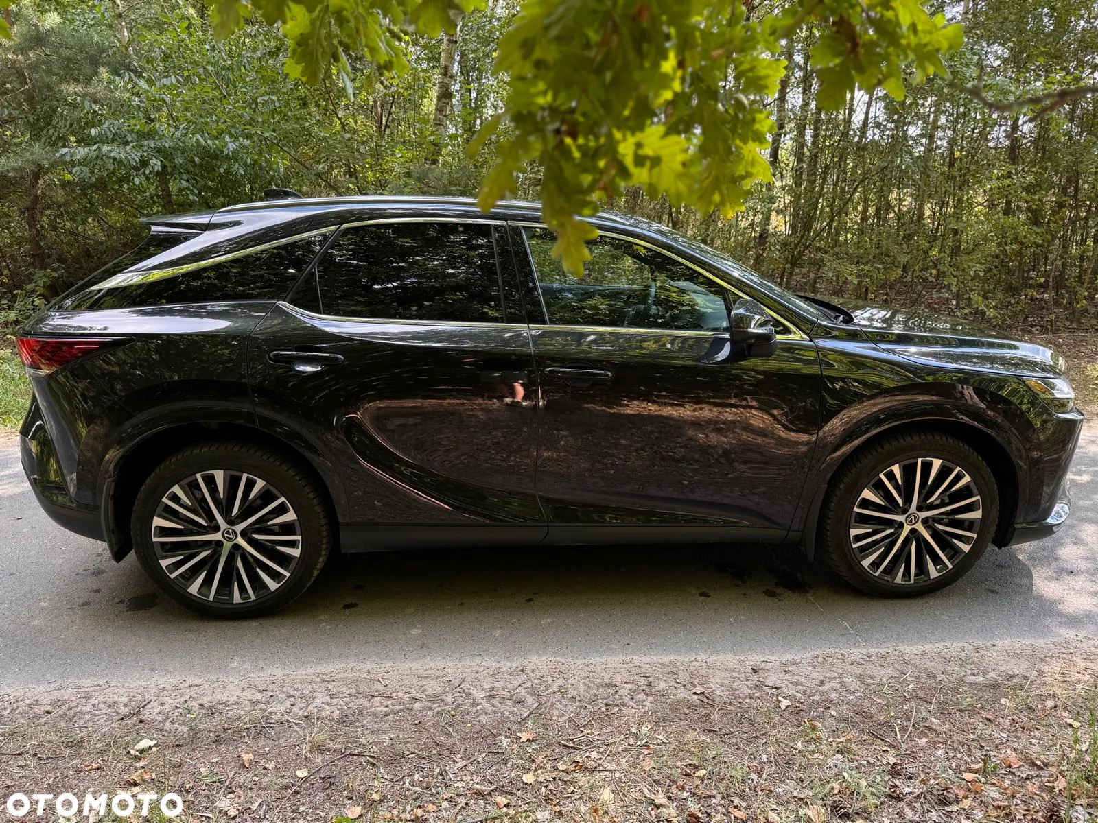 Lexus RX 350h (hybrid) Business - 15