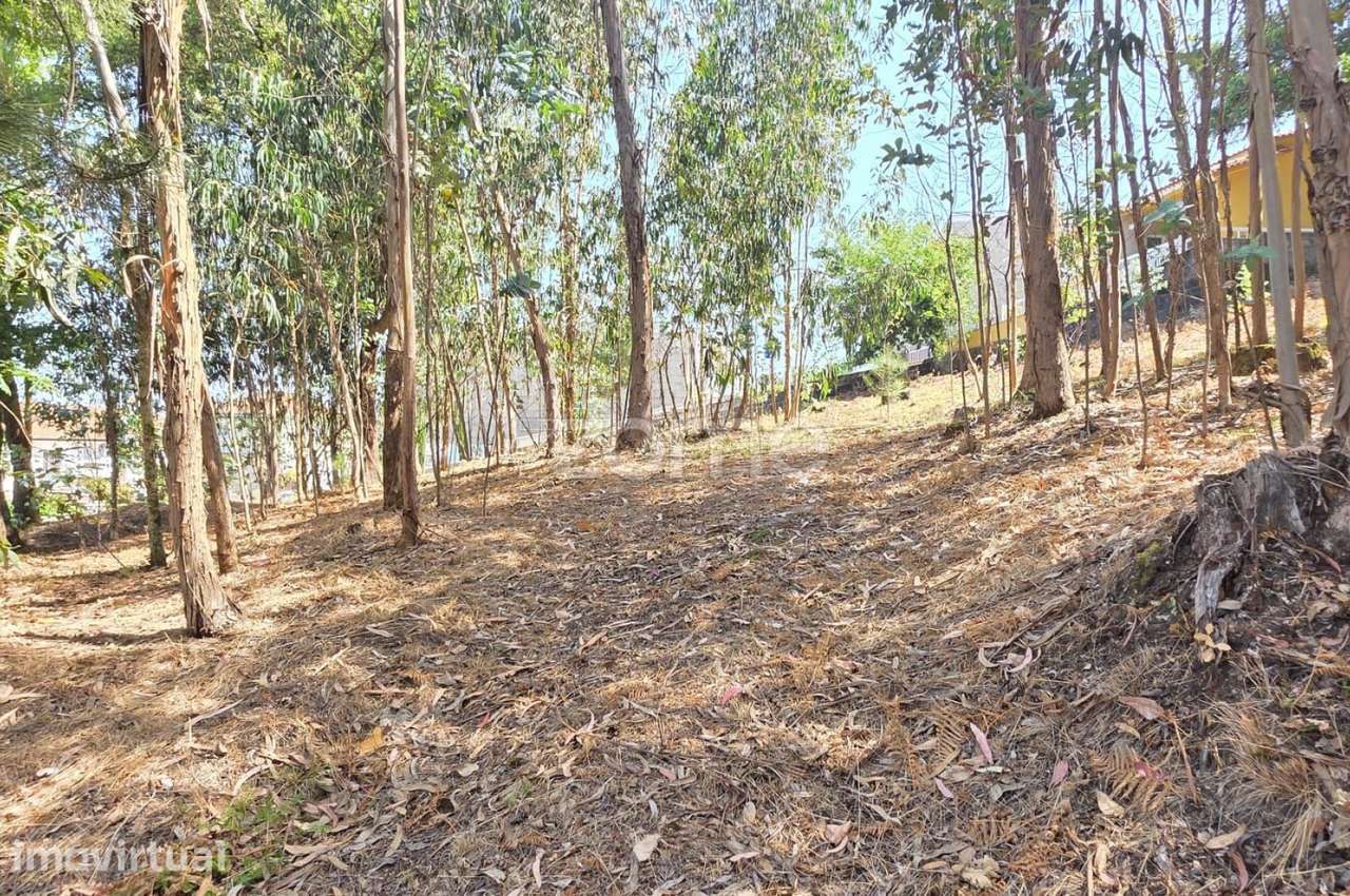 Terreno para construção em Airó - Barcelos - Grande imagem: 5/15