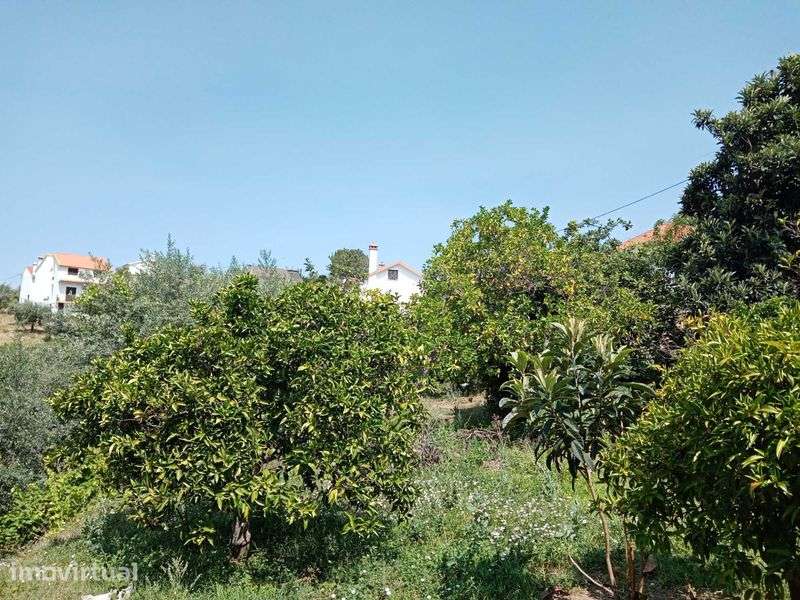 Vendo Terreno Montes da Senhora - Grande imagem: 2/2