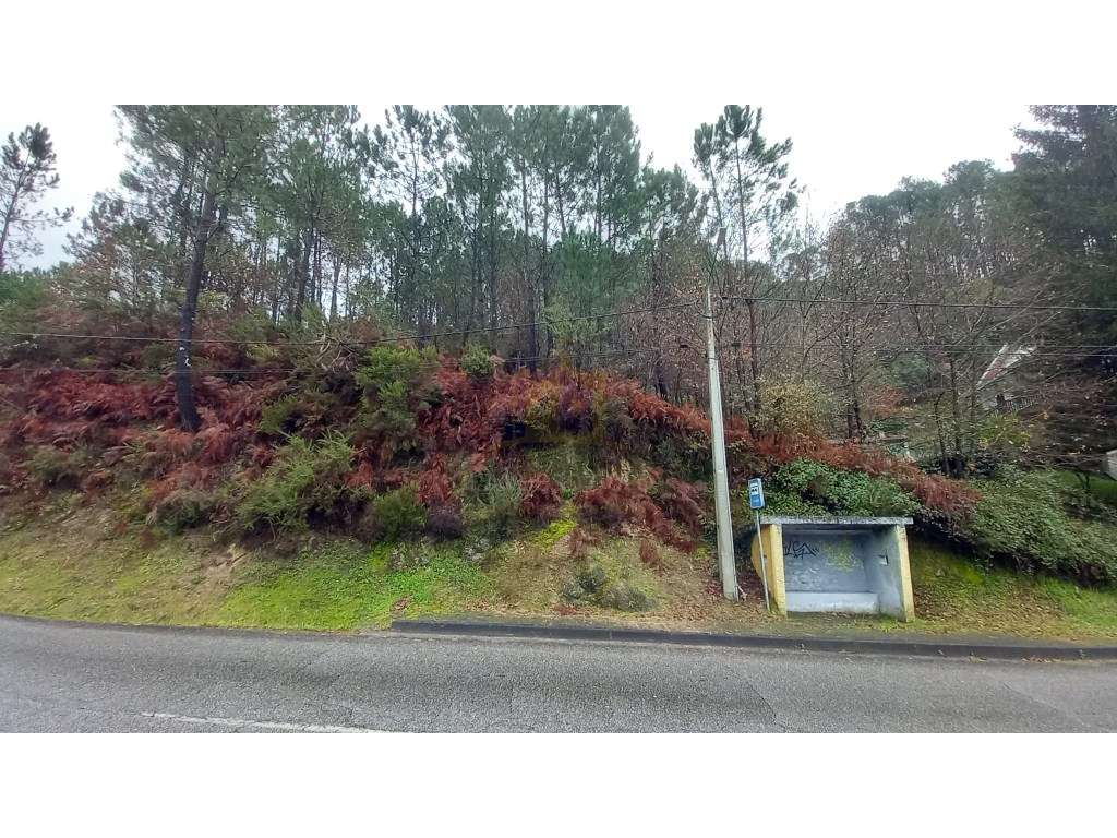 Terreno Urbano - Grande imagem: 4/7