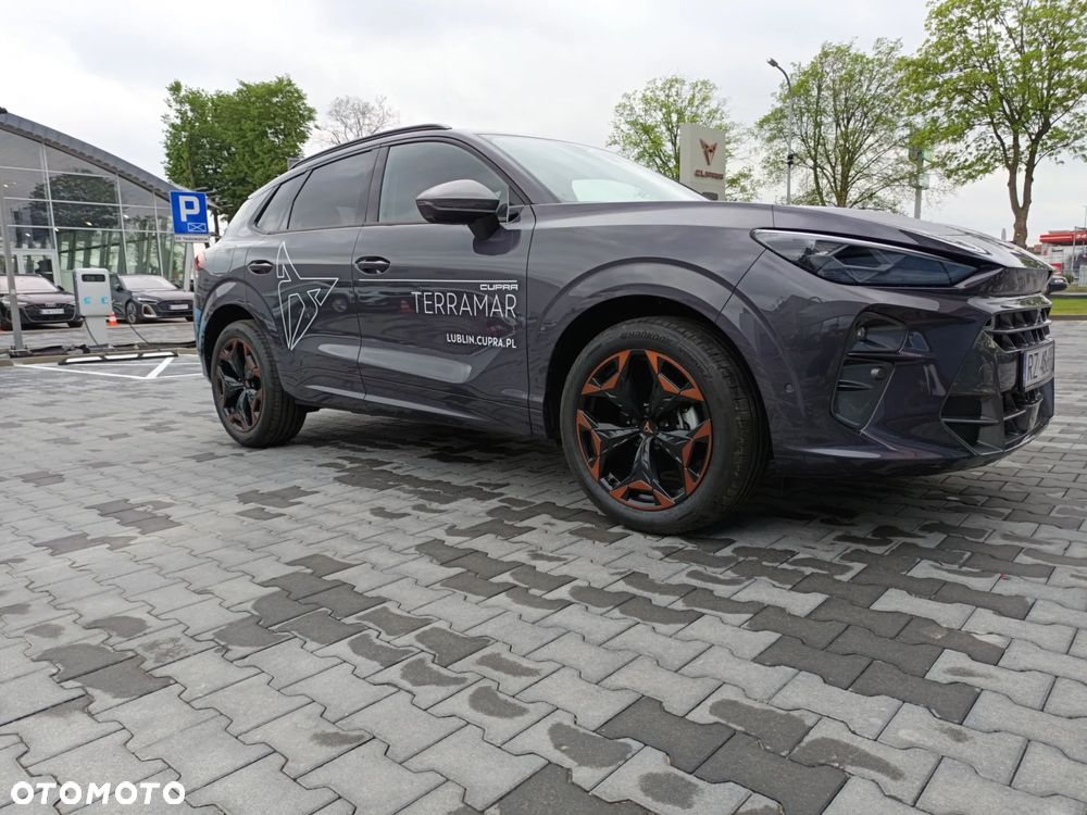 Cupra Terramar 1.5 eTSI mHEV DSG - 23